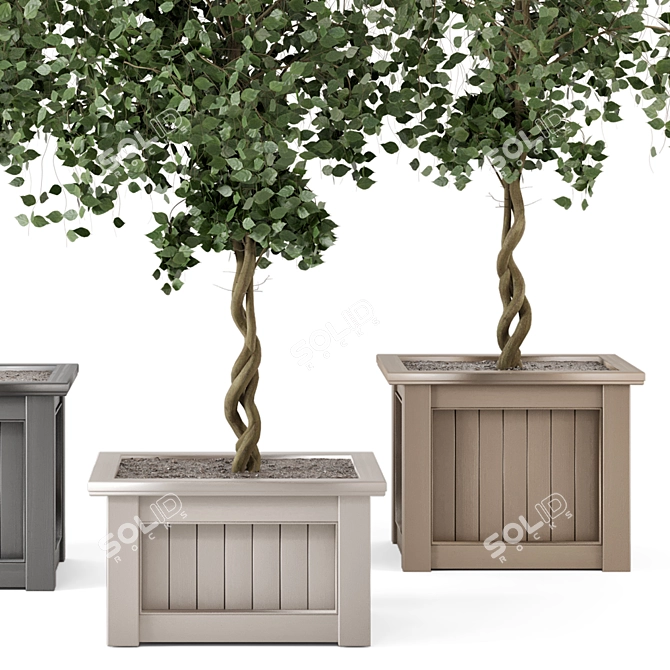 Outdoor Plants Tree in Wooden Box 3D model image 5