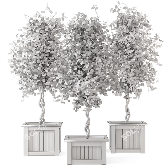 Outdoor Plants Tree in Wooden Box 3D model image 7
