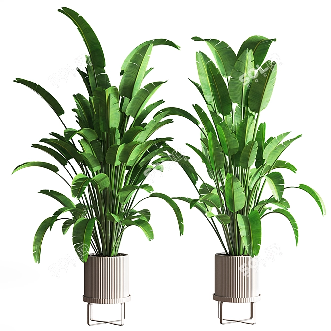 Indoor Botanical Oasis Set 3D model image 1