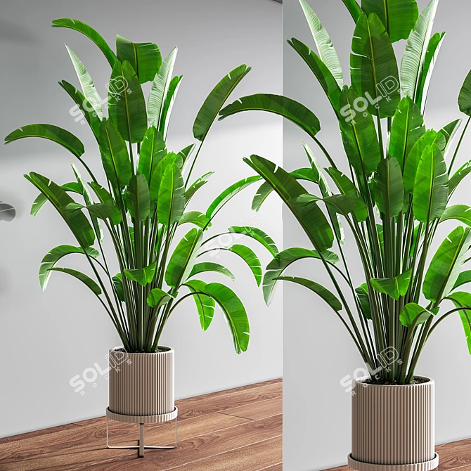 Indoor Botanical Oasis Set 3D model image 4