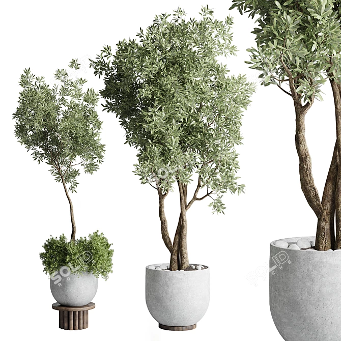 52 Concrete Dirt Vase Pot Collection 3D model image 1
