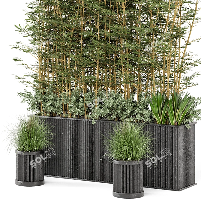 Rusty Concrete Pot Bamboo Set - Outdoor Plants 3D model image 4