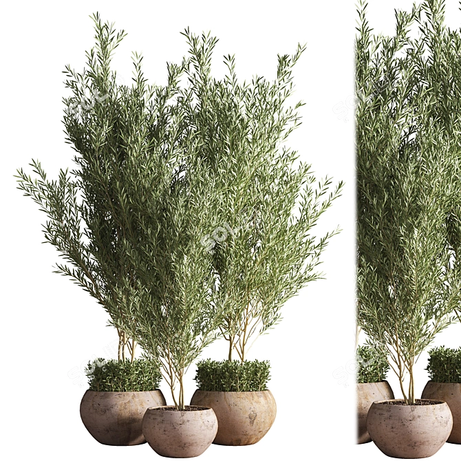 Outdoor Plant Set 09: Stylish and Sustainable Greenery 3D model image 1