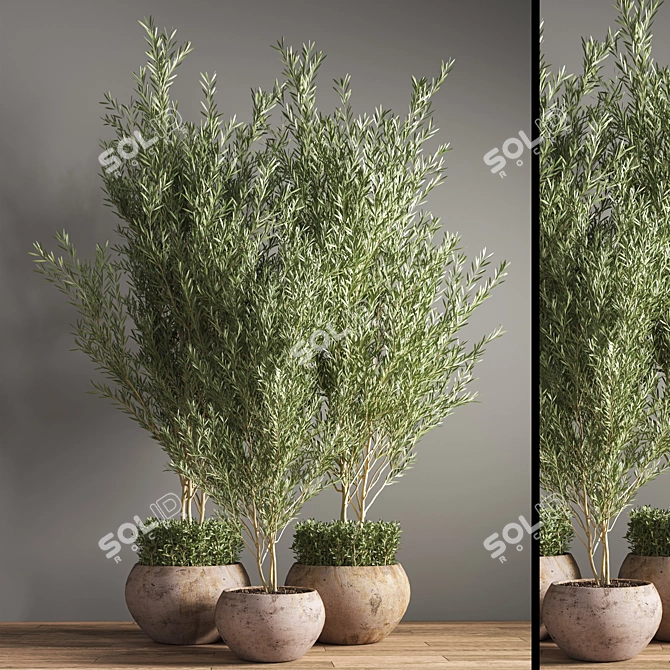 Outdoor Plant Set 09: Stylish and Sustainable Greenery 3D model image 2