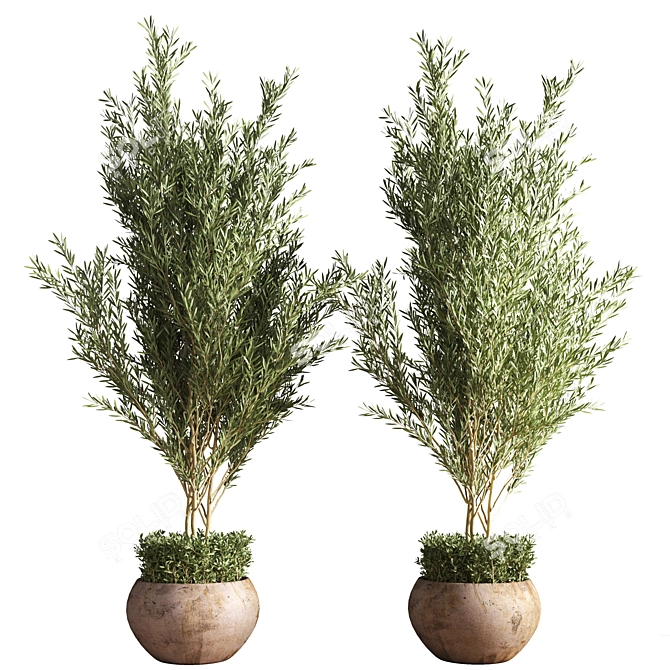 Outdoor Plant Set 09: Stylish and Sustainable Greenery 3D model image 4