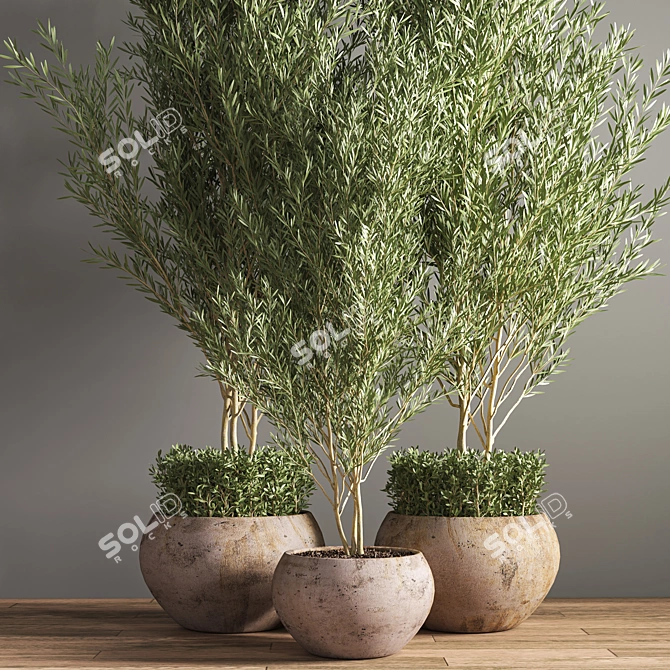 Outdoor Plant Set 09: Stylish and Sustainable Greenery 3D model image 5