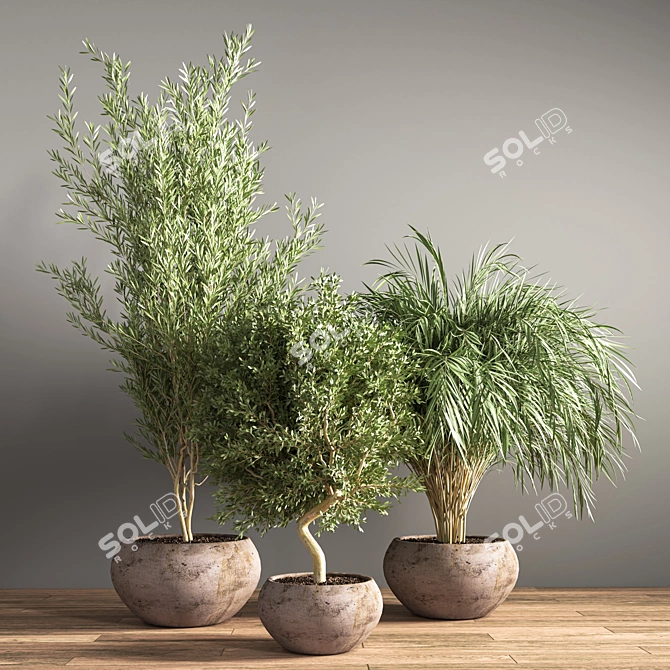 Minimalist Indoor Plant Stand 3D model image 2