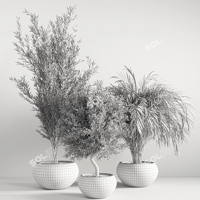 Minimalist Indoor Plant Stand 3D model image 7