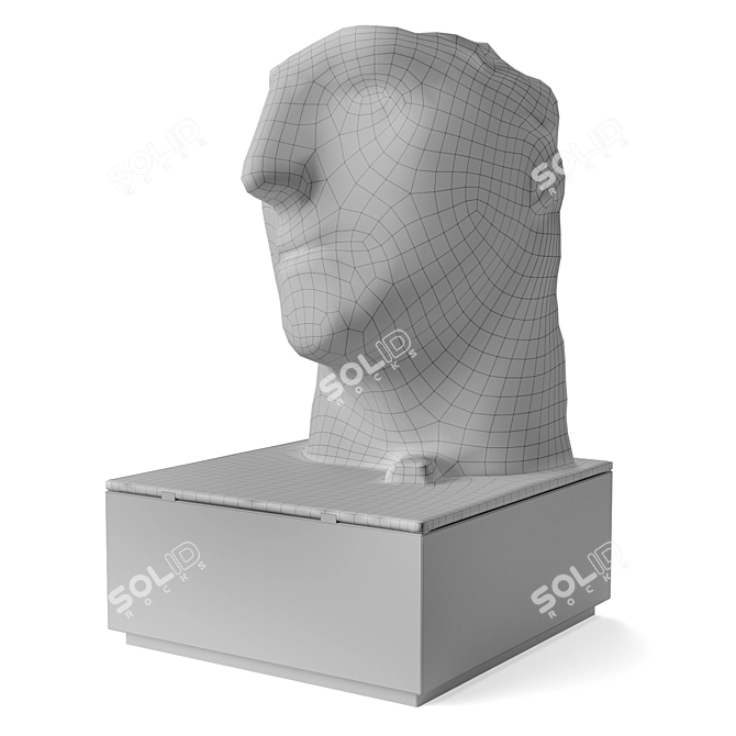 Bronze Outdoor Face Sculpture 3D model image 5