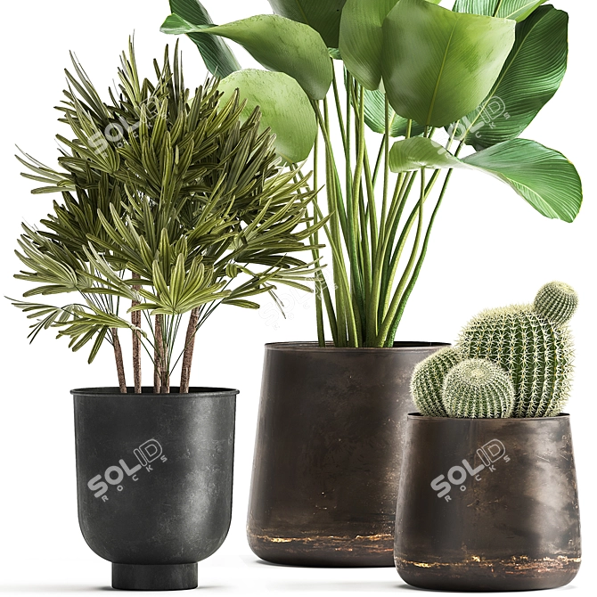 Tropical Plant Collection: Reclaimed Iron Pot, Exotics & Calathea 3D model image 2