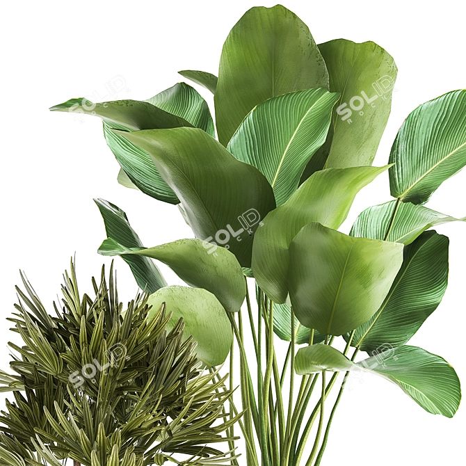 Tropical Plant Collection: Reclaimed Iron Pot, Exotics & Calathea 3D model image 4