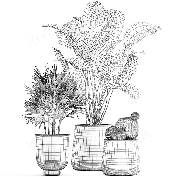 Tropical Plant Collection: Reclaimed Iron Pot, Exotics & Calathea 3D model image 7