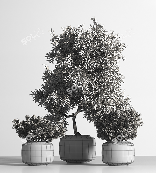 Elegant Indoor Plant Set 3D model image 5