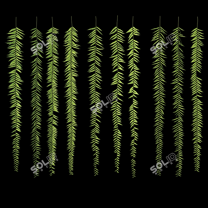 Lush Hanging Fern Set: Perfect 3D Max V-Ray Plants 3D model image 3