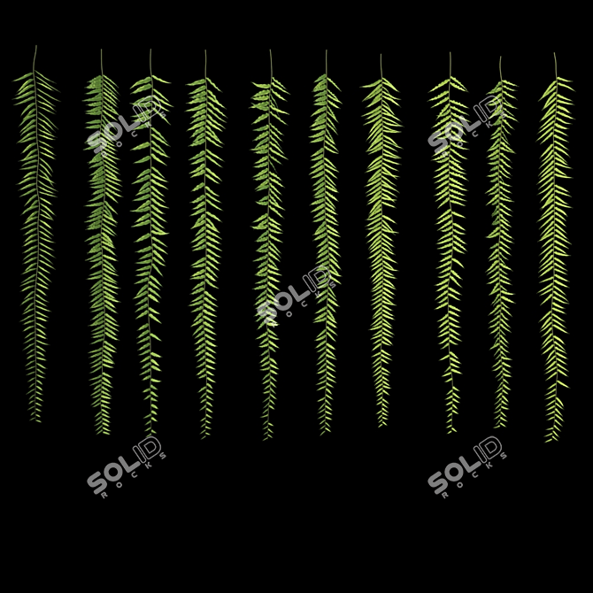 Lush Hanging Fern Set: Perfect 3D Max V-Ray Plants 3D model image 4