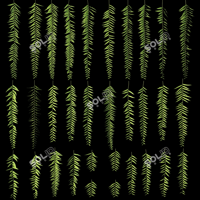 Lush Hanging Fern Set: Perfect 3D Max V-Ray Plants 3D model image 6