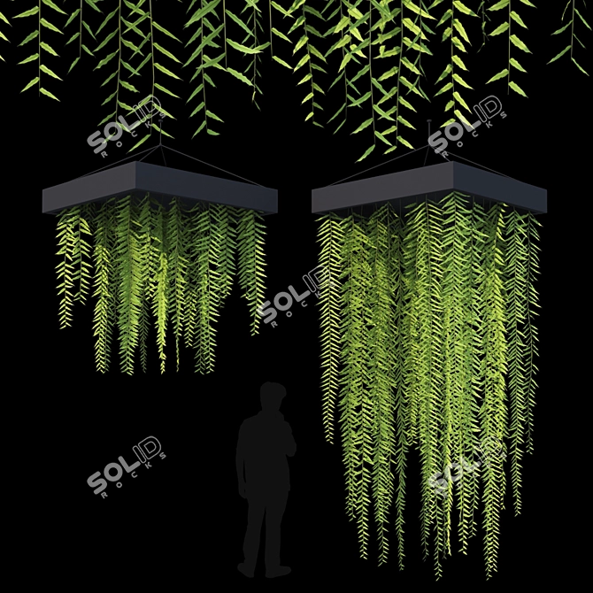 Lush Hanging Fern Set: Perfect 3D Max V-Ray Plants 3D model image 7