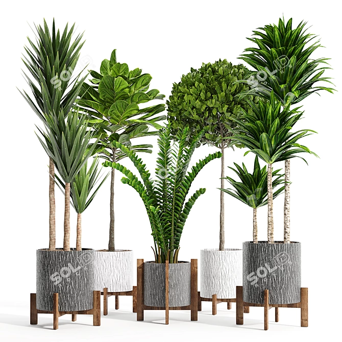 14-Piece Indoor Plant Collection: Variety and Elegance 3D model image 7