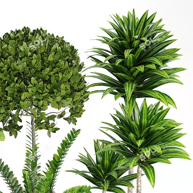 14-Piece Indoor Plant Collection: Variety and Elegance 3D model image 1