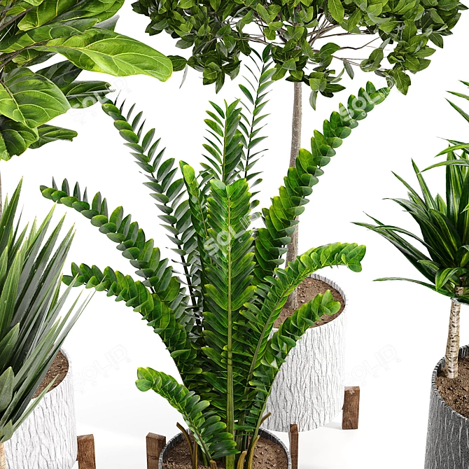 14-Piece Indoor Plant Collection: Variety and Elegance 3D model image 2