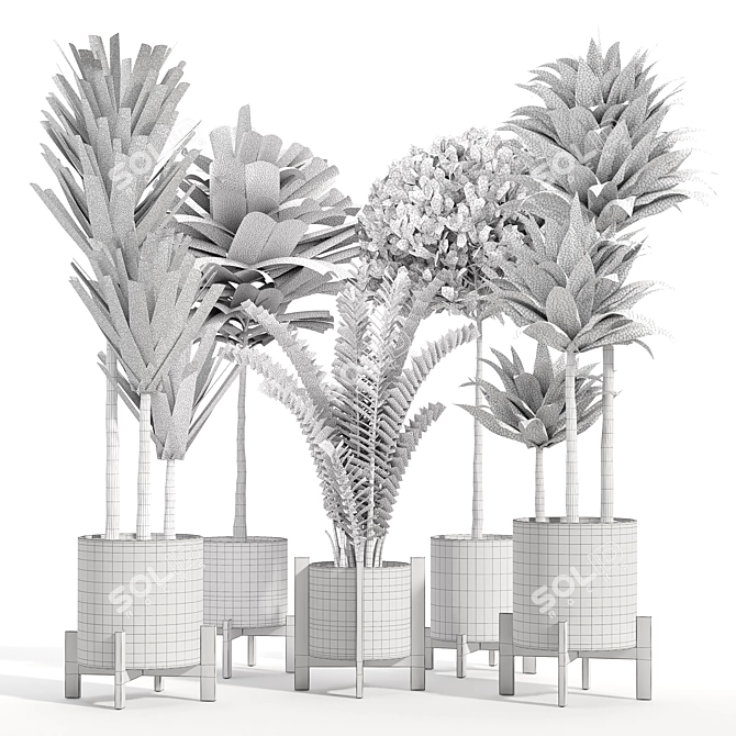14-Piece Indoor Plant Collection: Variety and Elegance 3D model image 6