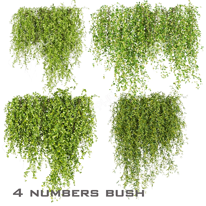 Greenery Collection - Outdoor Bush 3D model image 1