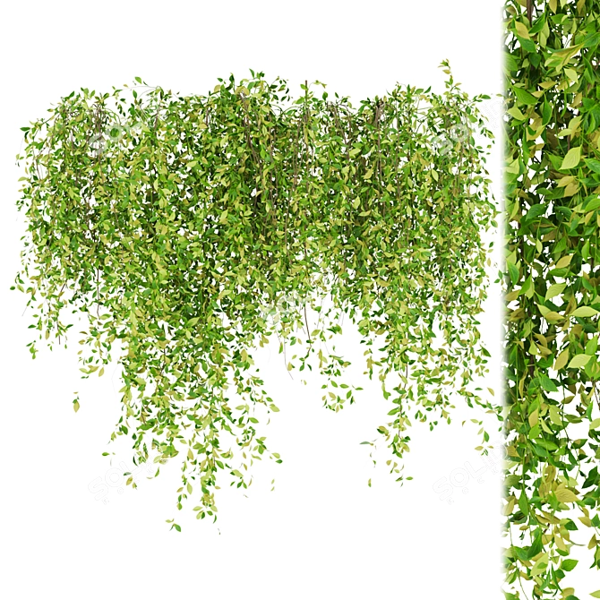 Greenery Collection - Outdoor Bush 3D model image 2