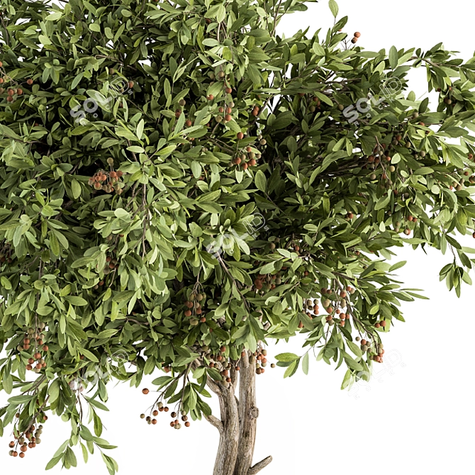 Fruitful Pot: Outdoor Tree Set 3D model image 3