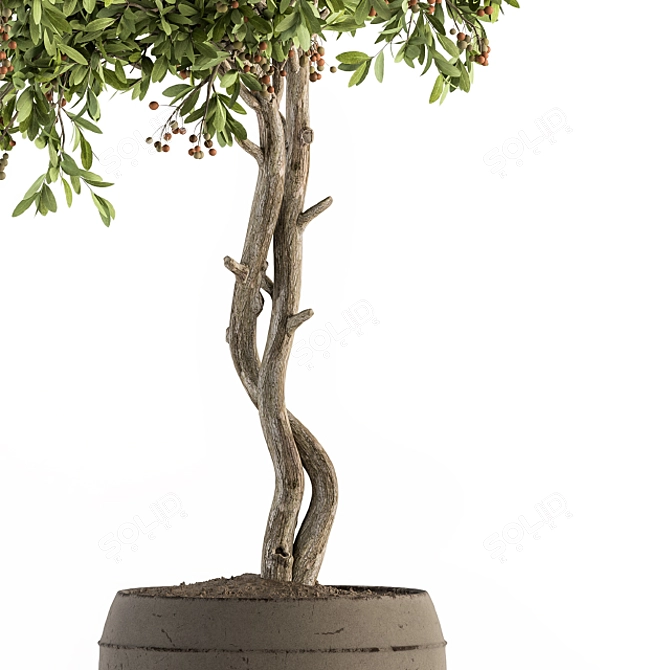 Fruitful Pot: Outdoor Tree Set 3D model image 4