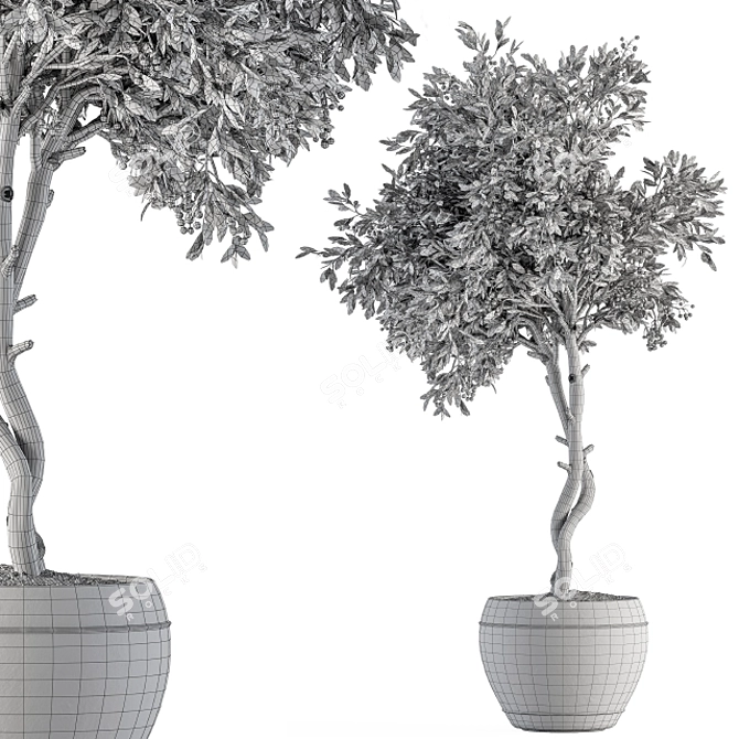 Fruitful Pot: Outdoor Tree Set 3D model image 6