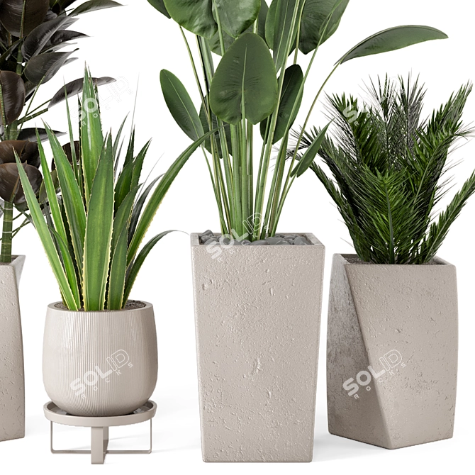 Rusty Concrete Pot Indoor Plant Set 3D model image 2