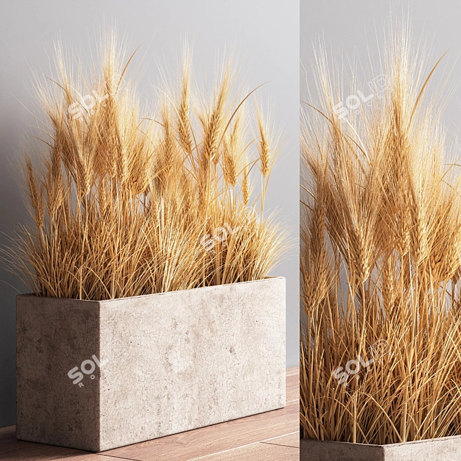 Stunning Indoor Plant Set 3D model image 3