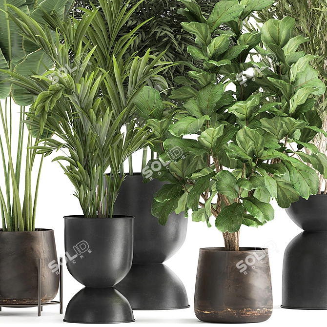 TropiPalm Plant Collection 3D model image 2