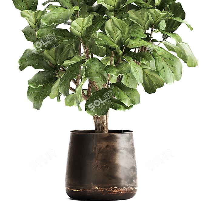 Tropical Plant Collection: Reclaimed Iron Pot 3D model image 4