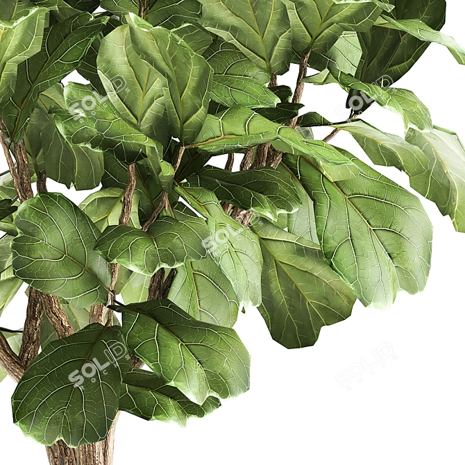 Tropical Plant Collection: Reclaimed Iron Pot 3D model image 5