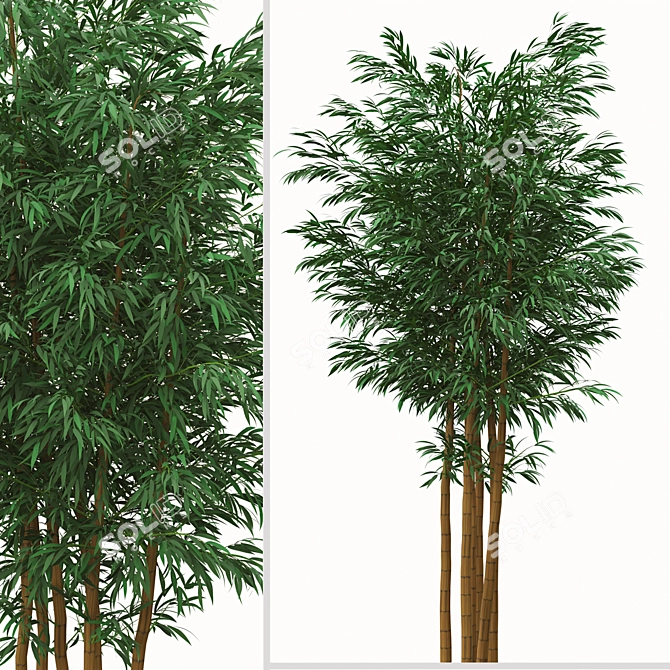 Golden Bamboo Plants Set (6-Pack) 3D model image 2