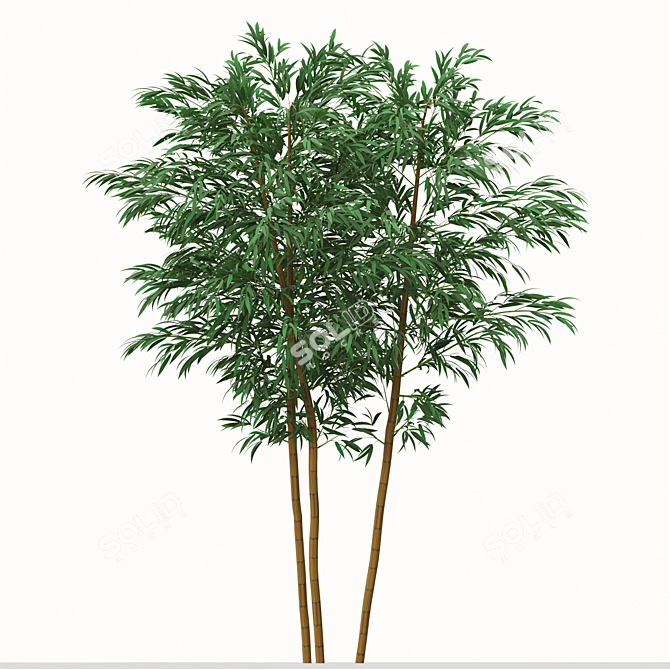 Golden Bamboo Plants Set (6-Pack) 3D model image 3