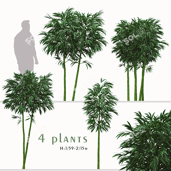 Golden Bamboo Plants Set (6-Pack) 3D model image 7