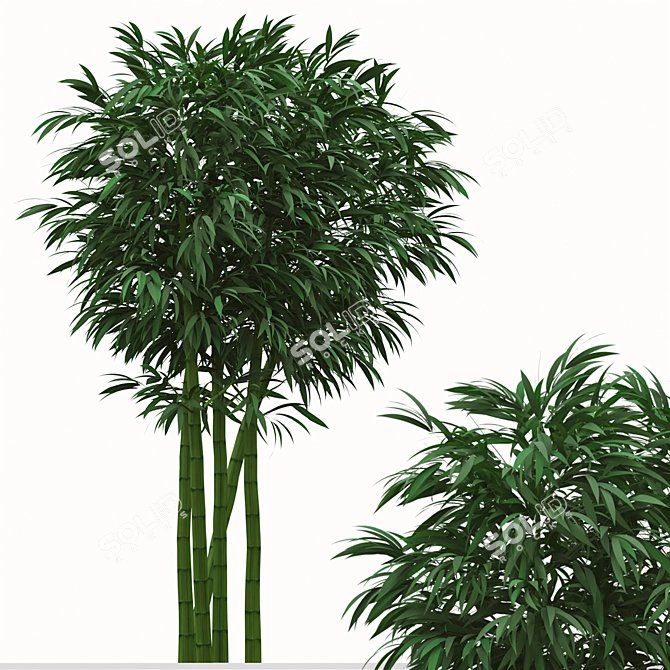 Golden Bamboo Plants Set (6-Pack) 3D model image 8