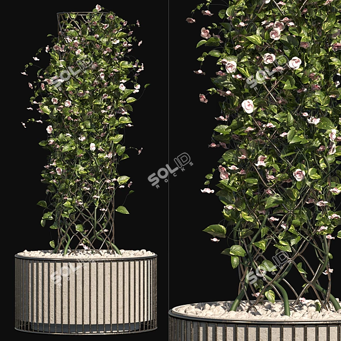 Blossoming Outdoor Plant Set 3D model image 1