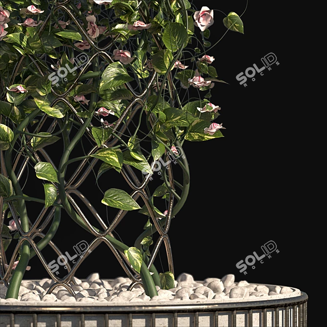 Blossoming Outdoor Plant Set 3D model image 2