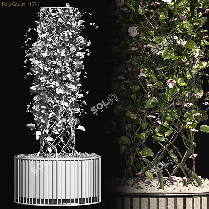 Blossoming Outdoor Plant Set 3D model image 5