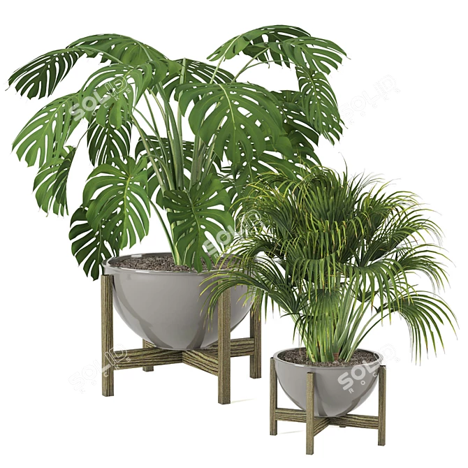 Minimalist Indoor Plants Set 3D model image 1