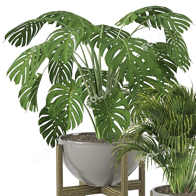 Minimalist Indoor Plants Set 3D model image 2