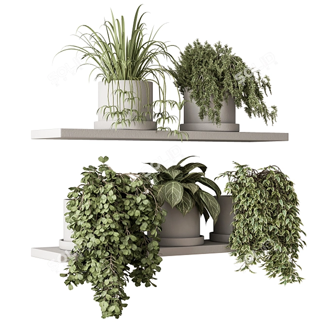 Green Living: Indoor Plant Set 3D model image 2