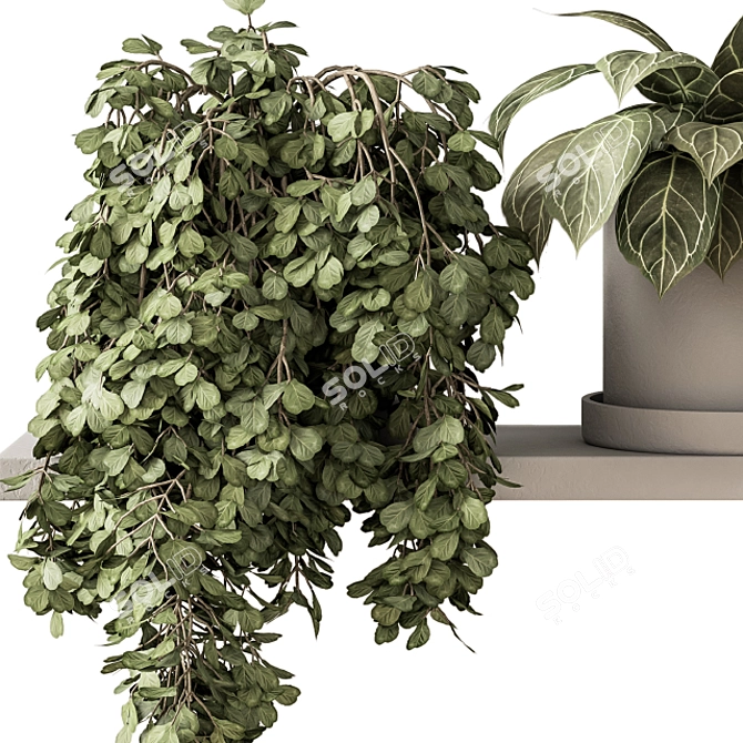 Green Living: Indoor Plant Set 3D model image 3