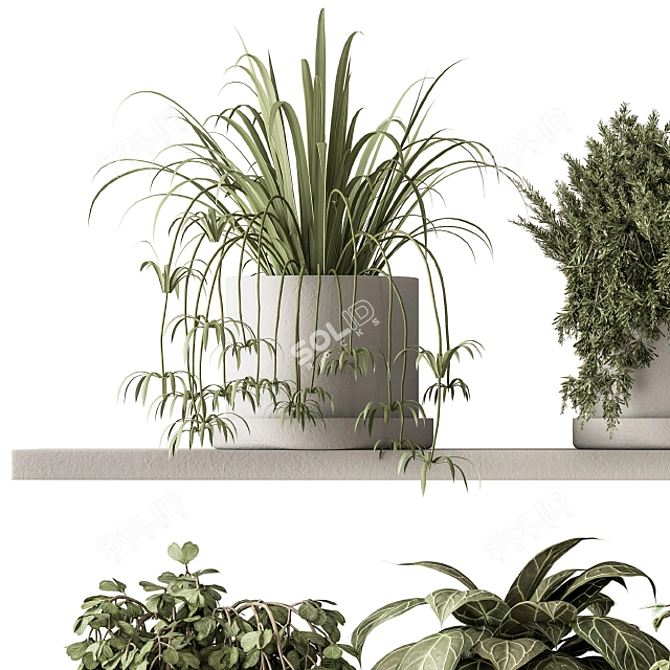 Green Living: Indoor Plant Set 3D model image 6