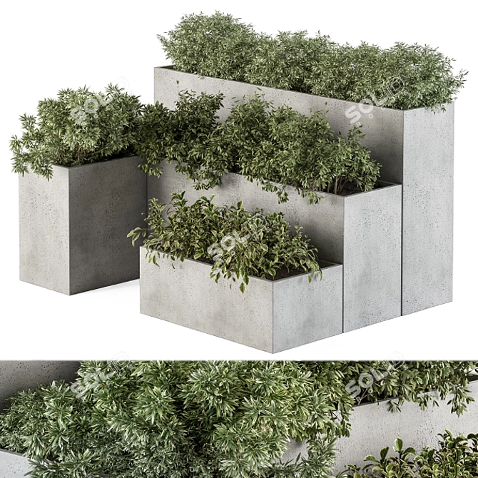 Concrete Outdoor Plant Set 277 3D model image 1