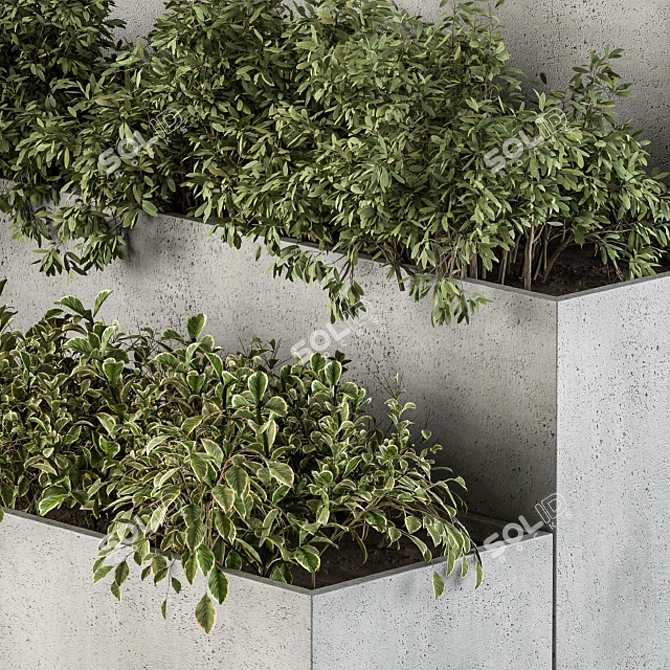 Concrete Outdoor Plant Set 277 3D model image 3