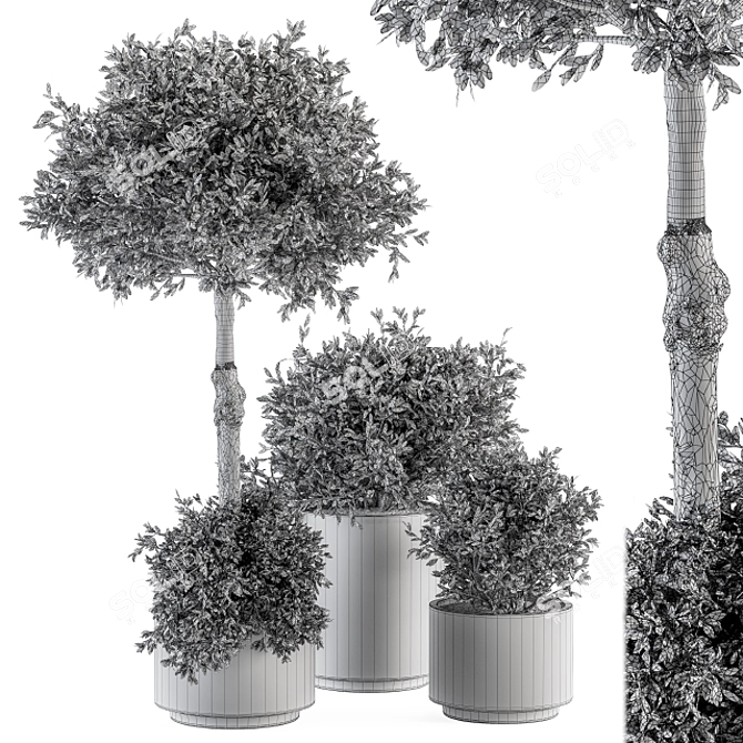 Green Oasis: Outdoor Plant Set 3D model image 5